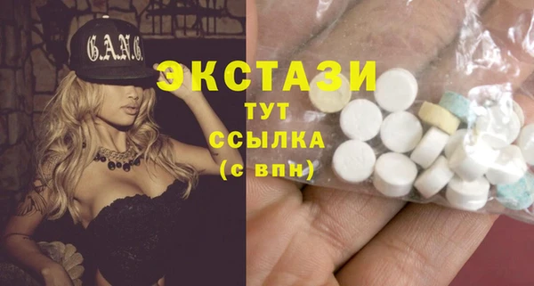 стаф Бородино