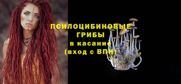 героин Богданович