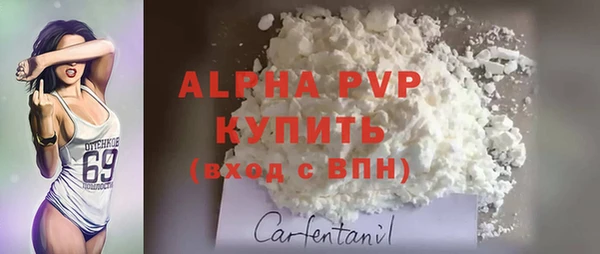 стаф Бородино