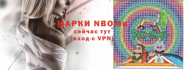 стаф Бородино