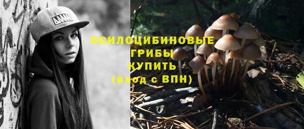 Альфа ПВП Бронницы