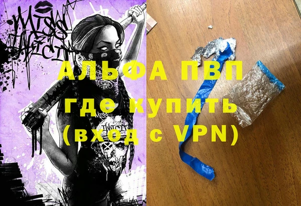 стаф Бородино