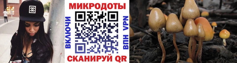 наркошоп  Северск  Галлюциногенные грибы ЛСД 