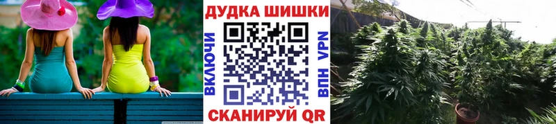 хочу наркоту  Северск  Бошки марихуана семена 